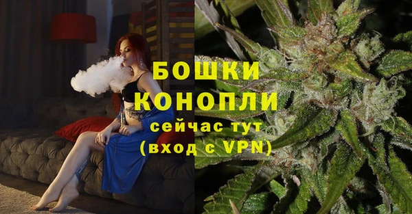 амф Липки