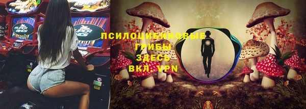 амф Липки